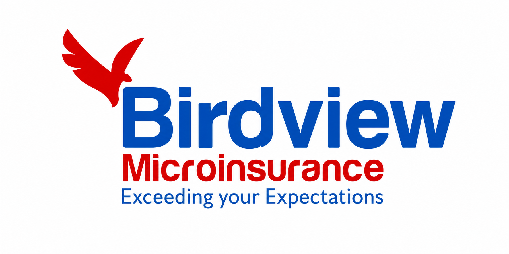 Birdview Microinsurance — Exceeding your Expectations
